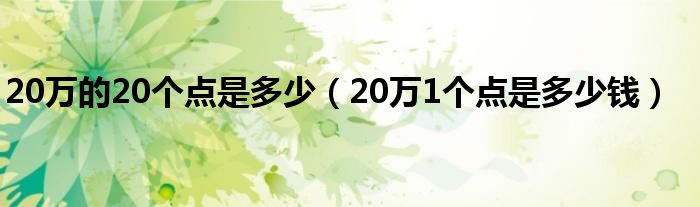 20万的20个点是多少(20万1个点是多少钱)