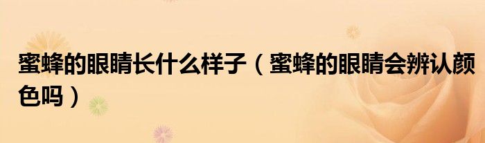蜜蜂的眼睛长什么样子(蜜蜂的眼睛会辨认颜色吗)
