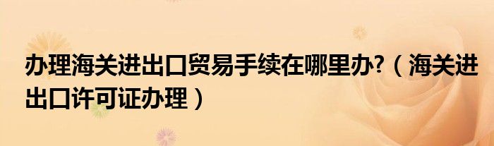 办理海关进出口贸易手续在哪里办?(海关进出口许可证办理)