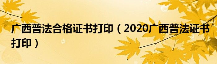广西普法合格证书打印(2020广西普法证书打印)