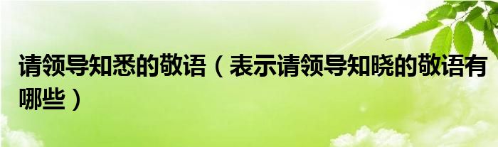 请领导知悉的敬语(表示请领导知晓的敬语有哪些)