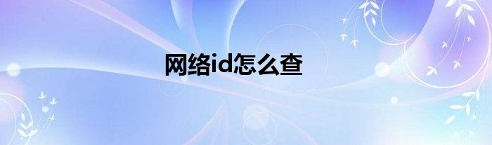 网络id怎么查