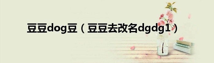 豆豆dog豆(豆豆去改名dgdg1)