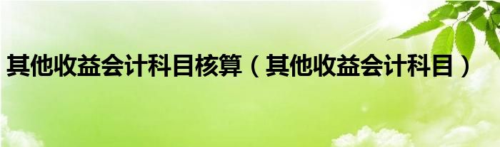 其他收益会计科目核算(其他收益会计科目)