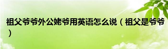 祖父爷爷外公姥爷用英语怎么说(祖父是爷爷)