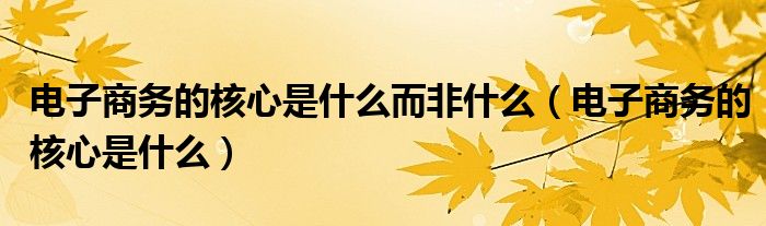 电子商务的核心是什么而非什么(电子商务的核心是什么)
