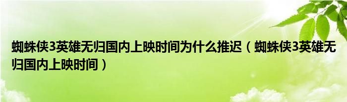 蜘蛛侠3英雄无归国内上映时间为什么推迟(蜘蛛侠3英雄无归国内上映时间)