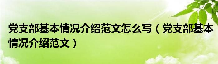 党支部基本情况介绍范文怎么写(党支部基本情况介绍范文)