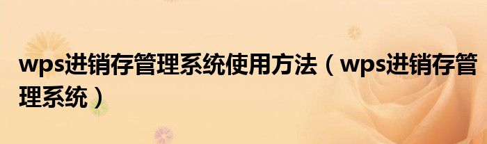 wps进销存管理系统使用方法(wps进销存管理系统)