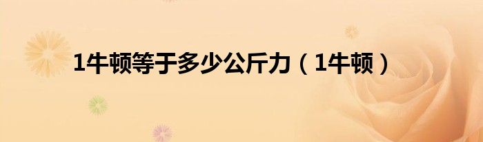 1牛顿等于多少公斤力(1牛顿)