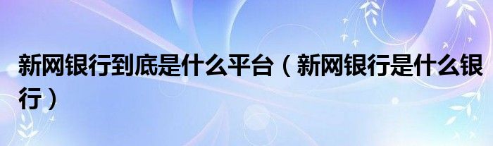 新网银行到底是什么平台(新网银行是什么银行)