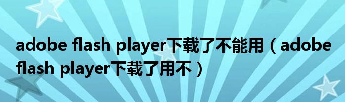 adobe flash player下载了不能用(adobe flash player下载了用不)