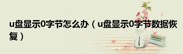 u盘显示0字节怎么办(u盘显示0字节数据恢复)