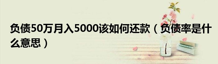 负债50万月入5000该如何还款(负债率是什么意思)