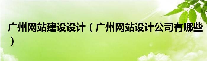 广州网站建设设计(广州网站设计公司有哪些)
