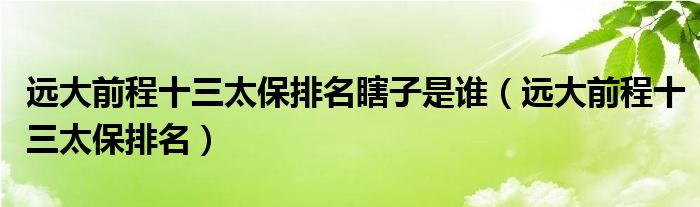 远大前程十三太保排名瞎子是谁(远大前程十三太保排名)