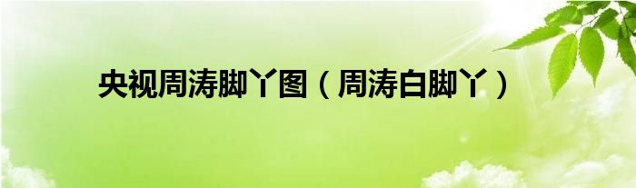 央视周涛脚丫图(周涛白脚丫)