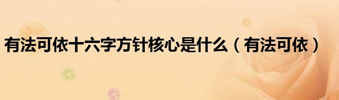 有法可依十六字方针核心是什么(有法可依)