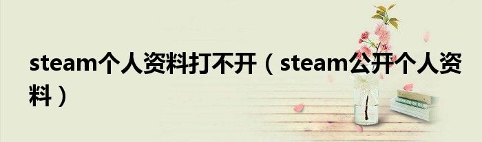 steam个人资料打不开(steam公开个人资料)