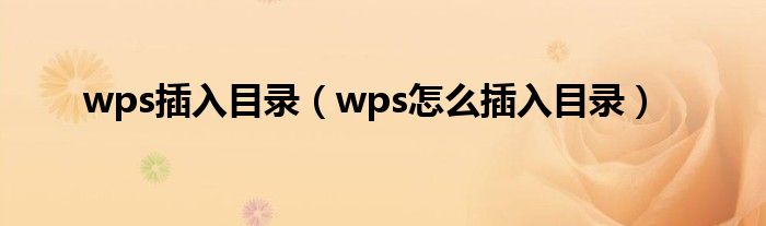 wps插入目录(wps怎么插入目录)