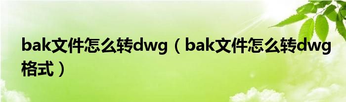 bak文件怎么转dwg(bak文件怎么转dwg格式)