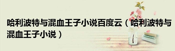 哈利波特与混血王子小说百度云(哈利波特与混血王子小说)