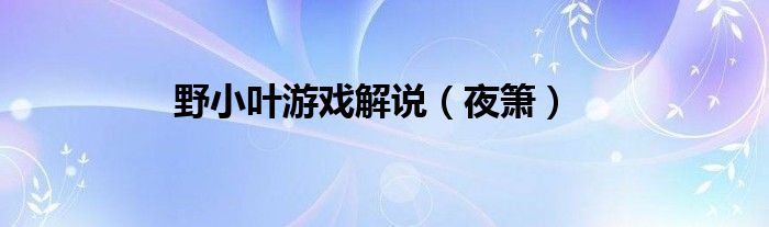 野小叶游戏解说（夜箫）