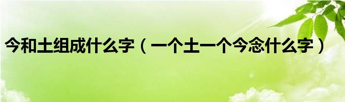 今和土组成什么字(一个土一个今念什么字)