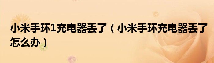 小米手环1充电器丢了(小米手环充电器丢了怎么办)