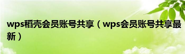 wps稻壳会员账号共享(wps会员账号共享最新)