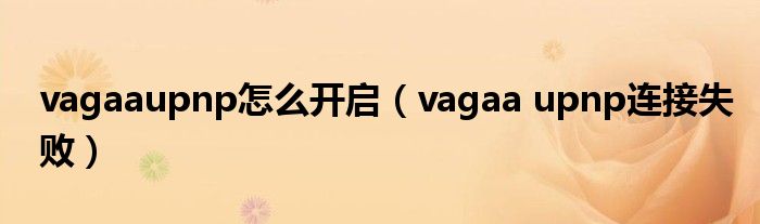 vagaaupnp怎么开启(vagaa upnp连接失败)