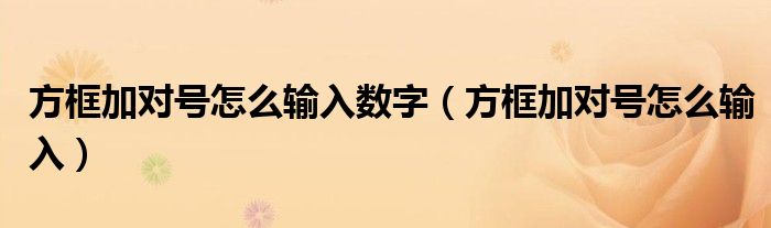 方框加对号怎么输入数字(方框加对号怎么输入)