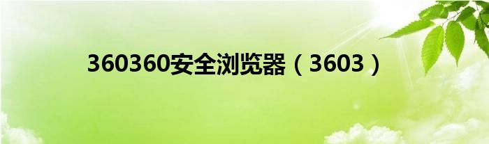 360360安全浏览器(3603)
