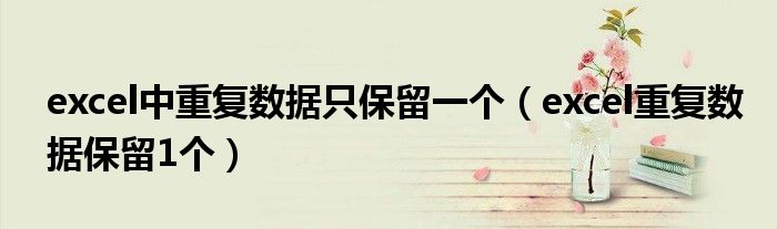 excel中重复数据只保留一个(excel重复数据保留1个)