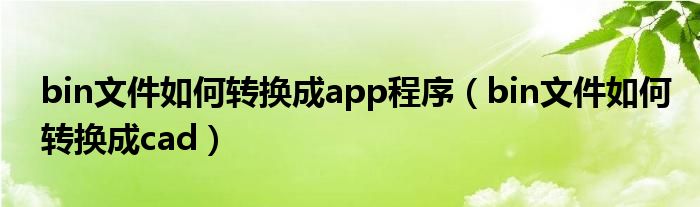 bin文件如何转换成app程序(bin文件如何转换成cad)