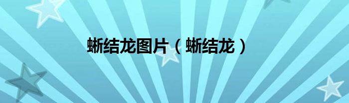 蜥结龙图片(蜥结龙)
