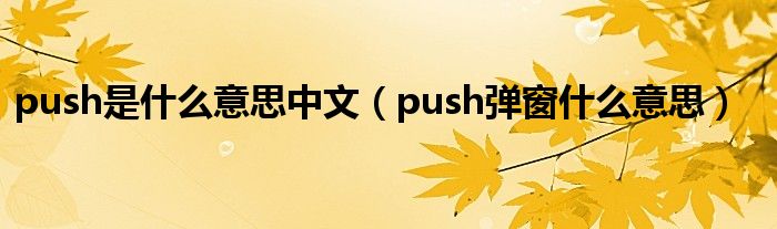 push是什么意思中文(push弹窗什么意思)