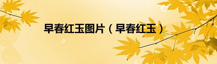 早春红玉图片（早春红玉）