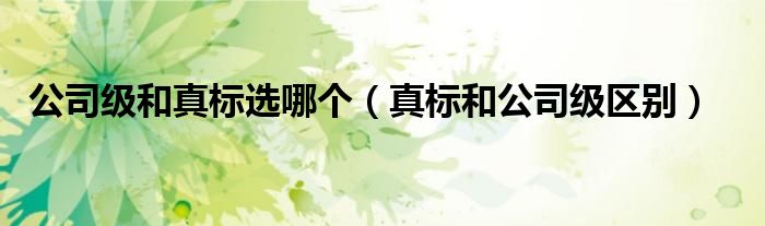 公司级和真标选哪个(真标和公司级区别)