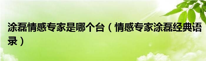 涂磊情感专家是哪个台（情感专家涂磊经典语录）