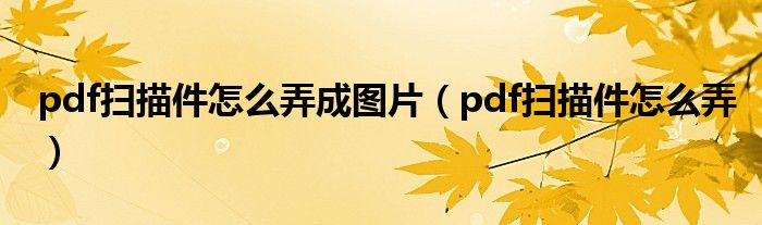pdf扫描件怎么弄成图片(pdf扫描件怎么弄)
