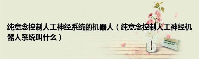 纯意念控制人工神经系统的机器人(纯意念控制人工神经机器人系统叫什么)