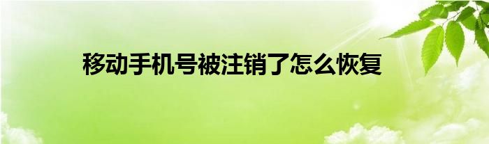 移动手机号被注销了怎么恢复