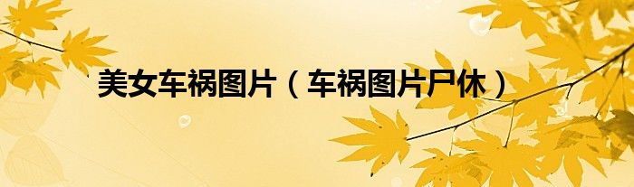 美女车祸图片(车祸图片尸休)