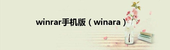 winrar手机版(winara)