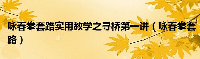 咏春拳套路实用教学之寻桥第一讲（咏春拳套路）