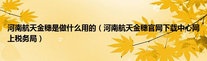 河南航天金穗是做什么用的(河南航天金穗官网下载中心网上税务局)