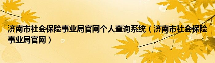 济南市社会保险事业局官网个人查询系统(济南市社会保险事业局官网)