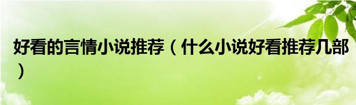 好看的言情小说推荐(什么小说好看推荐几部)