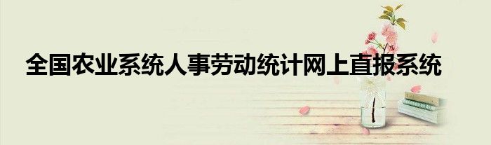 全国农业系统人事劳动统计网上直报系统
